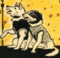 The Soviet Space Dog Project